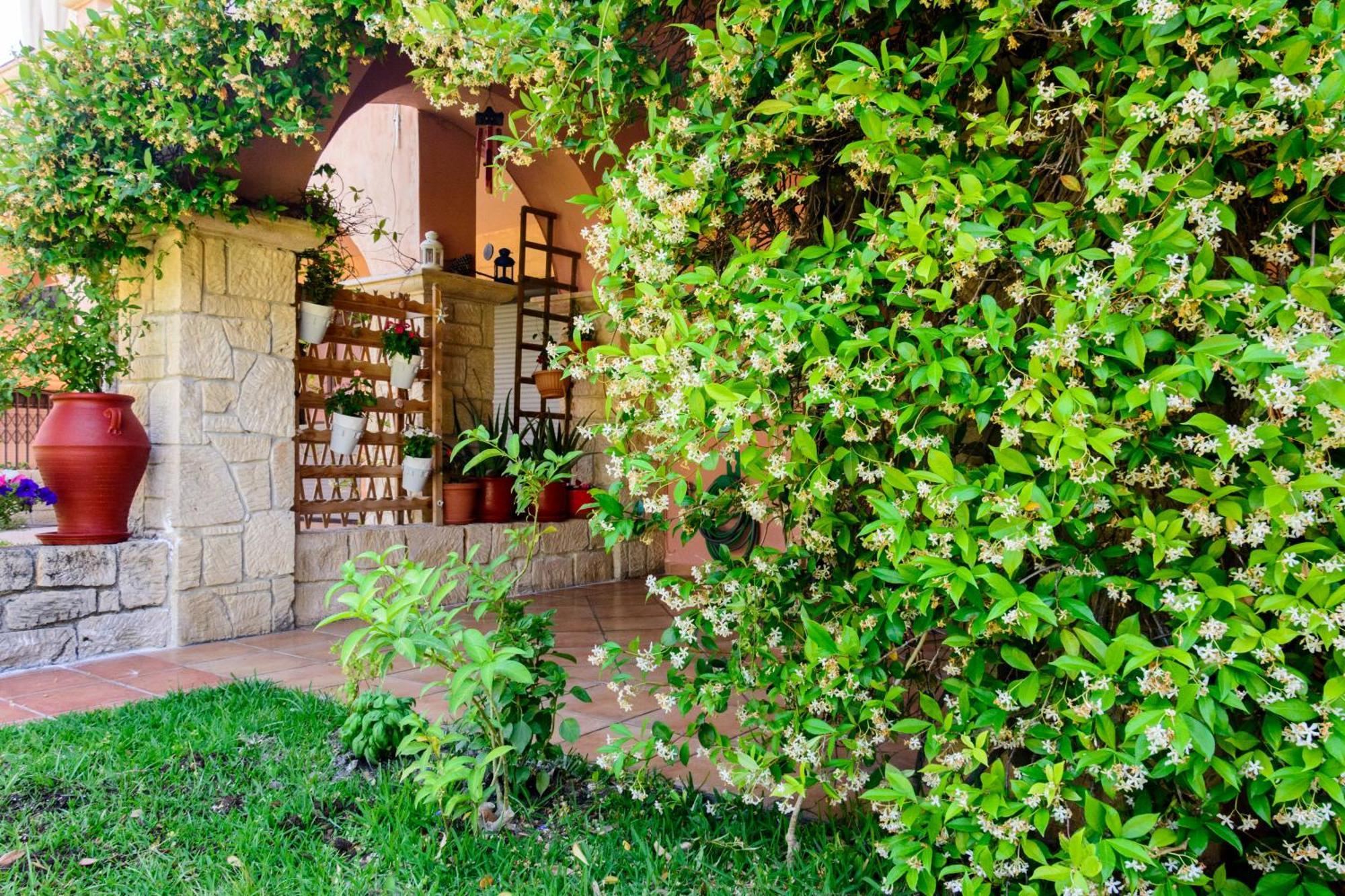 La Luna House Pefkochori Dış mekan fotoğraf