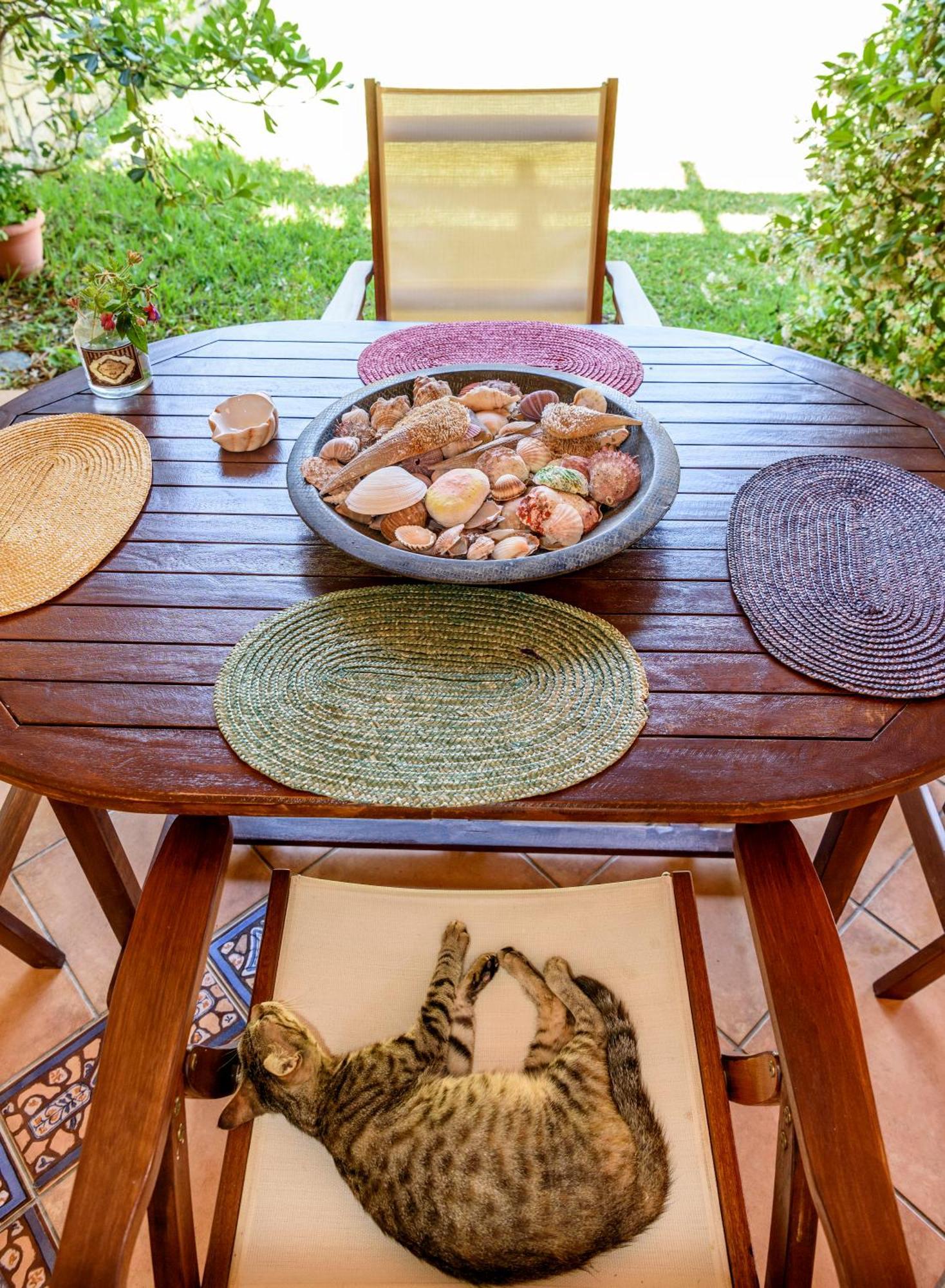 La Luna House Pefkochori Dış mekan fotoğraf
